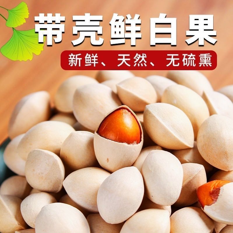 Fresh Seasonal Ginkgo Nuts from Taixing, Wholesale Packaging