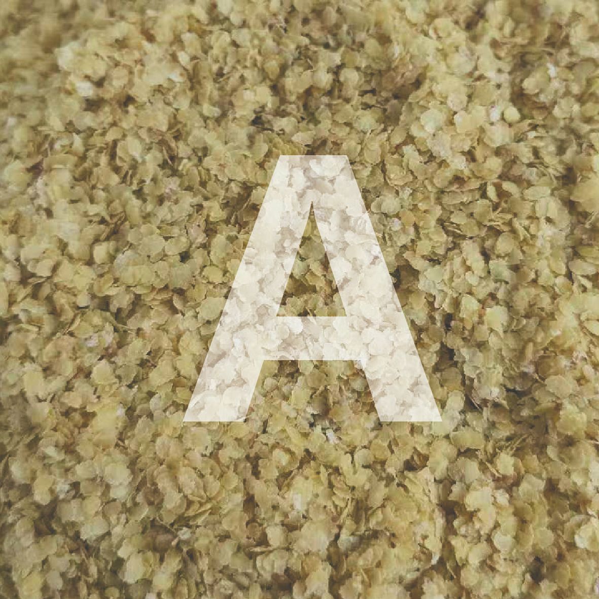 Cooked Wheat Germ Raw Materials Wholesale Selenium-Rich Wheat Germ Low-Temperature Baked Cooked Wheat Germ Factory Direct Sales