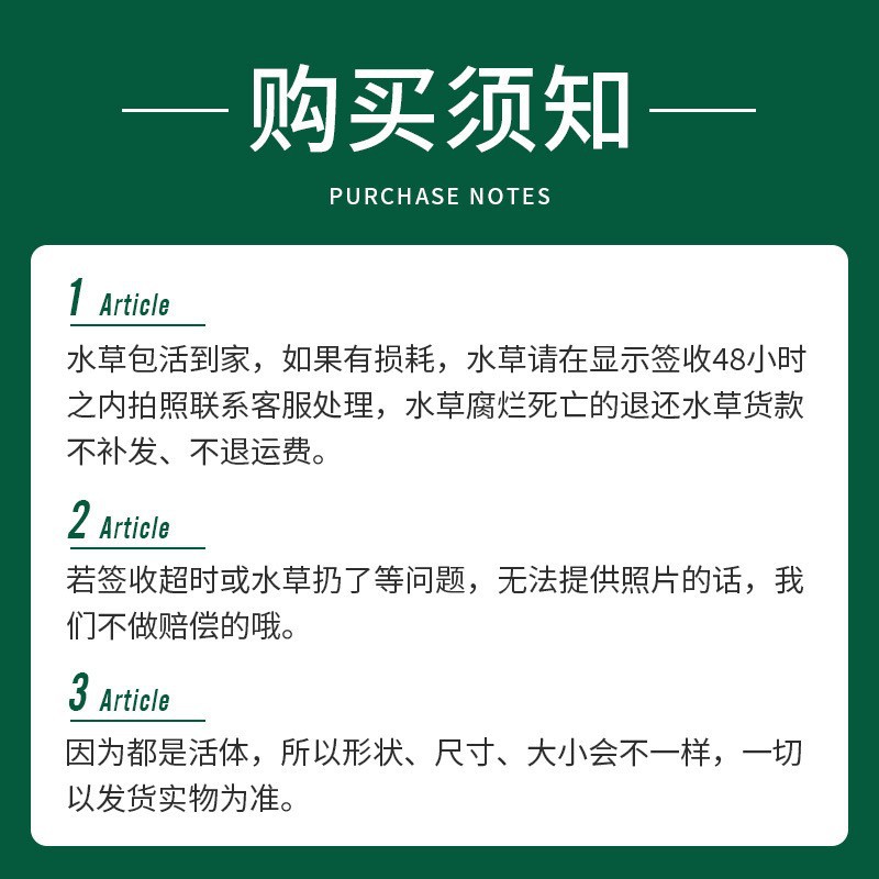 Duckweed Aquilla Daquan Plant Fish Tank Landscape Hydroponics One Leaf Lotus Water Hibiscus Water Hyacinth Water Lotus Water Purification Grassage Hair