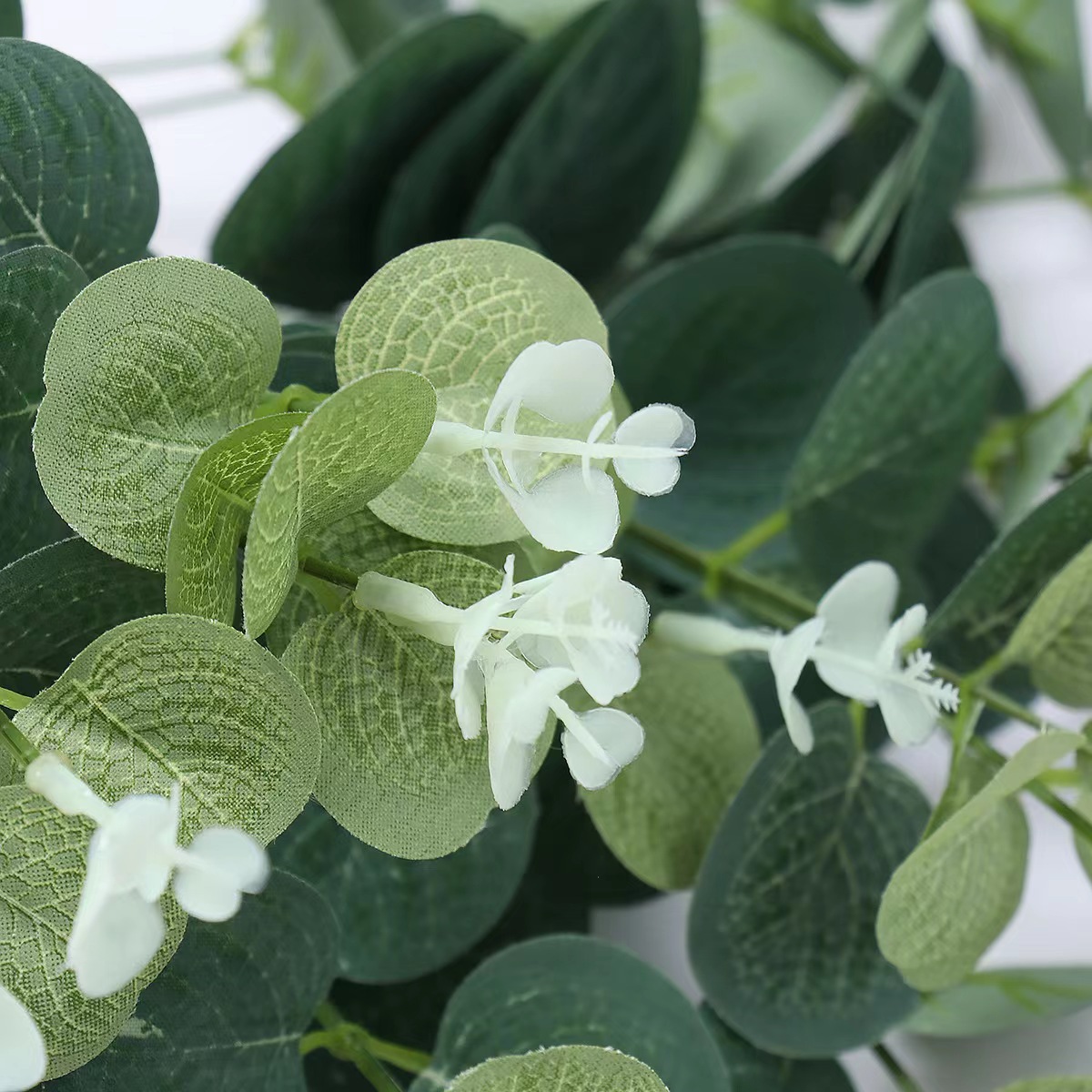 Simulation Single Money Leaf Eucalyptus Leaf ins Mori Wedding Flower Arrange Accessories Flower Arrange Decorative Leaf
