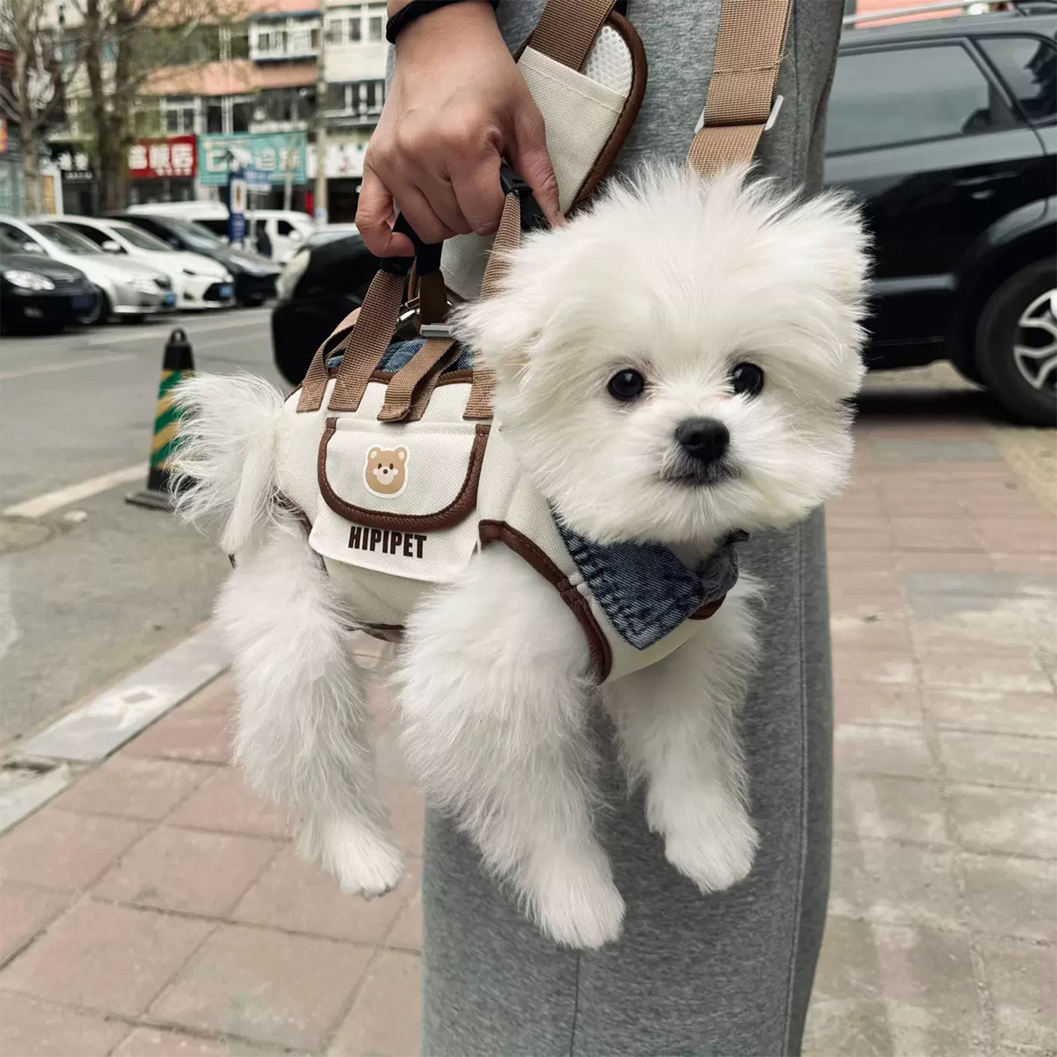Cross-Border Dog Outing Backpack, Shoulder Portable Pet Traction Backpack, Portable, Breathable, Cross-Body Strap Pet Supplies