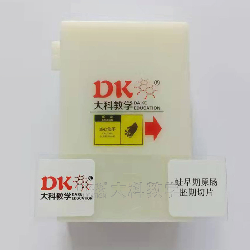 Daye Teaching Frog Original Intestinal Slicing Biological Slide Specimen Primary and Secondary Schools Special Microscope