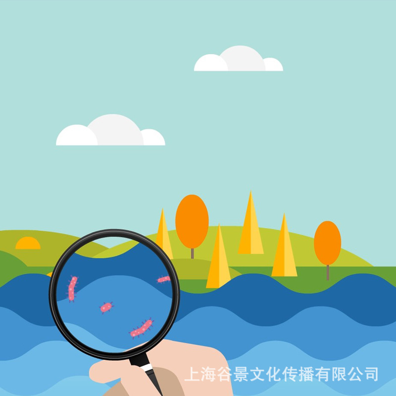 Professional flash two-dimensional plane advertising MG animation promo production team Company