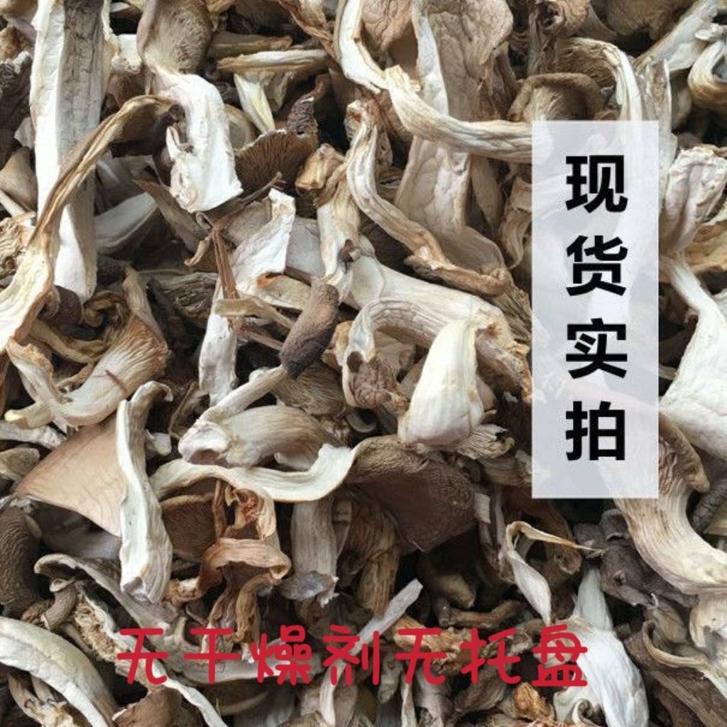 Organic Dried Oyster Mushrooms Whole Box Dried Goods Real Oyster Mushrooms Farm-Raised Oyster Mushrooms Sun-Dried Dried Goods Vegetable Soup Edible Fungi