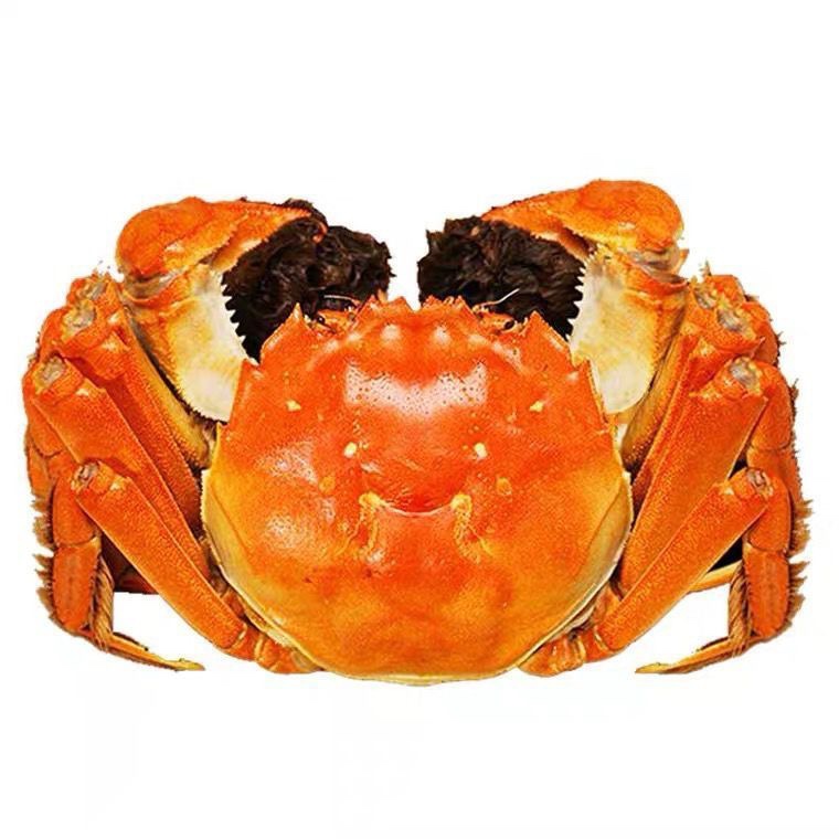 Full Yellow Spot Hairy Crabs, Fresh Whole Male and Female Crabs, Extra Large Crabs, River Crabs, Seafood and Aquatic Products Wholesale Gift Box Group Purchase