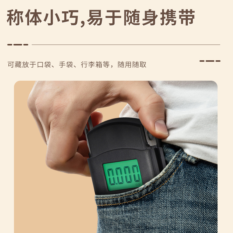 Portable Scale Electronic Scale High Precision 50kg Small Portable Mini Luggage Scale Hand Buy Food Weighing Spring Scale