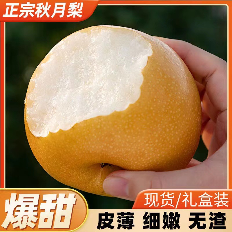 Оптовая коробка целых груш Laiyang Qiuyue из Шаньдун, тонкие хрустящие сладкие груши с тонкой кожурой, свежие фрукты