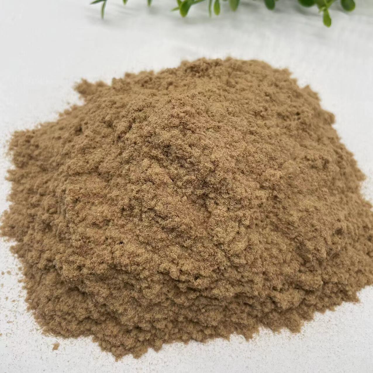 Pine powder sawdust furniture repair crack repair planting Mushroom Sawdust wood powder paper making fragrant pine wood fiber