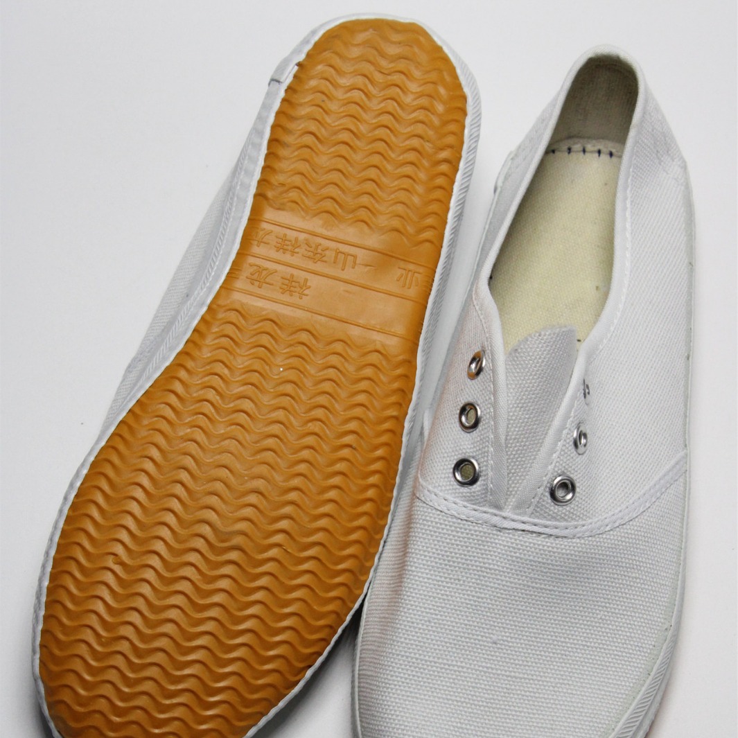 Shandong Dabai Net Shoes Sports Canvas White Sneakers White Shixuan Shoes Wholesale