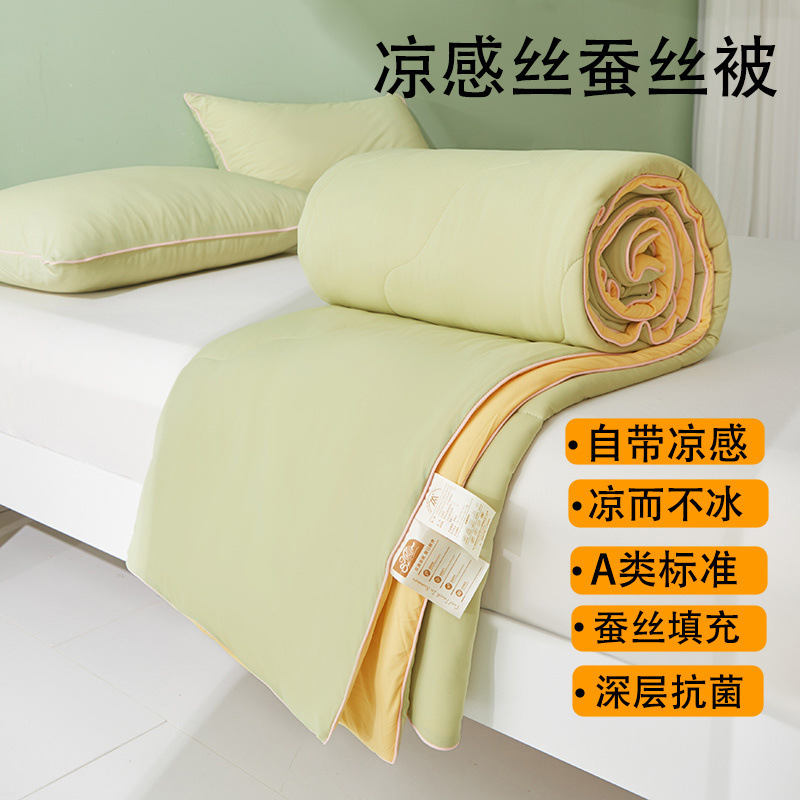 Class a Cool Mulberry Silk Summer Quilt Ice Silk Air-Conditioned Quilt Washable Thin Summer Quilt Single Dormitory Double
