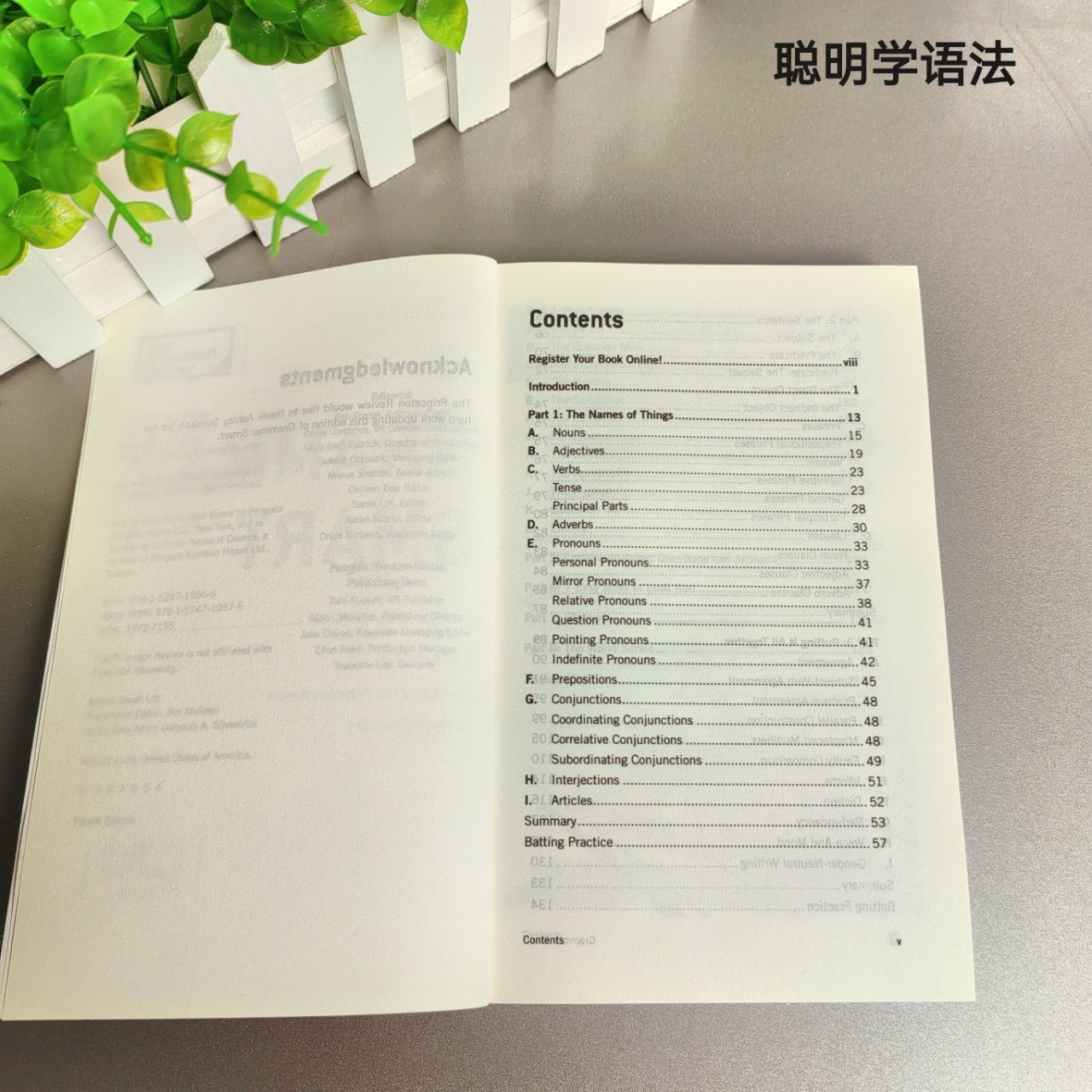 Grammar Smart Satgre Princeton Review English Version