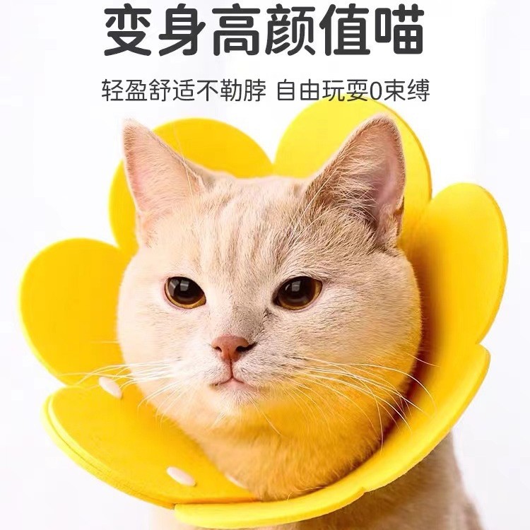 Felt Elizabethan Collar Pet Collar Sunflower Collar Anti-Licking Collar Headgear Cat Collar