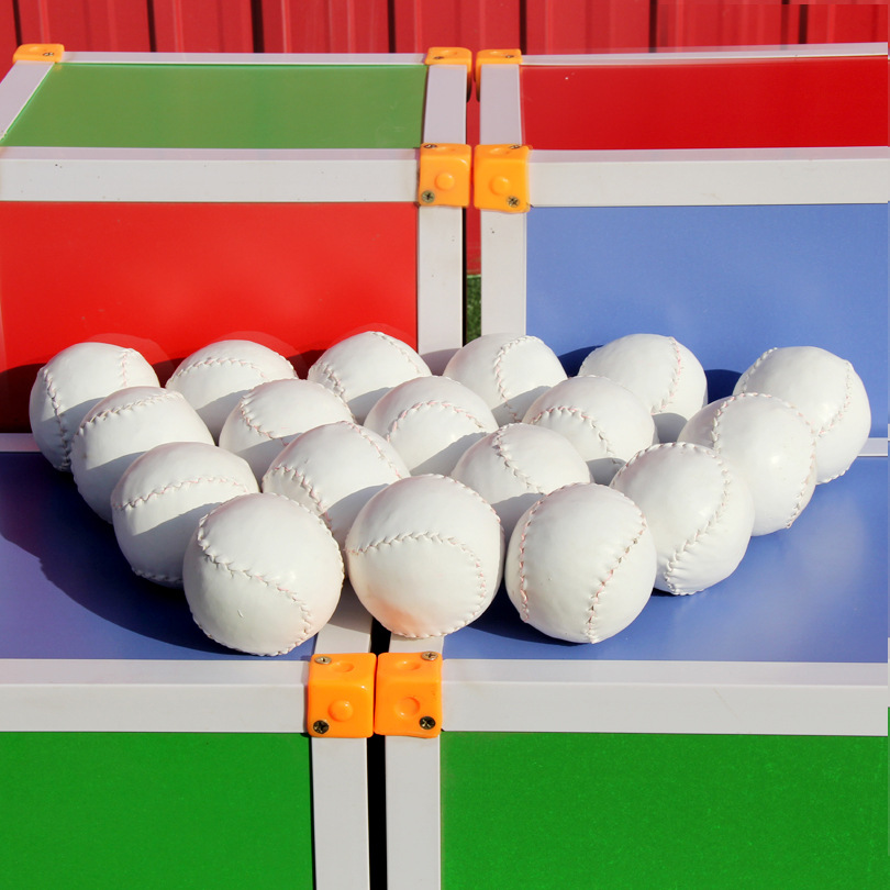 Pu Material Manufacturer 10inch Sawdust Softball Baseball Training Ball Dog Toy Ball