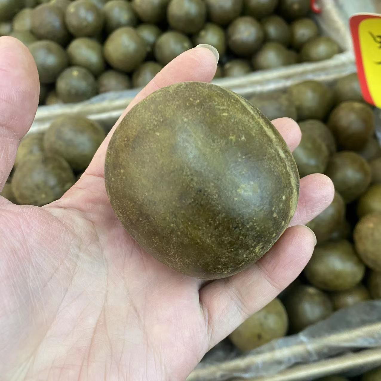 Luo Han Guo Whole Fruit, Big Luo Han Guo Flower and Fruit, Luo Han Guo Tea, Han Guo Flower Tea, Bulk Wholesale Luo Han Guo