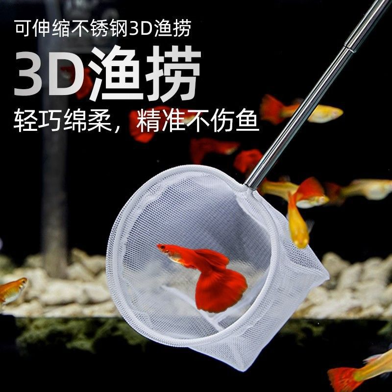Fish Net for Catching Small Fish, Small 3D Fishing Net, Dense Net, Hand-Held Fishing Net, Extendable
