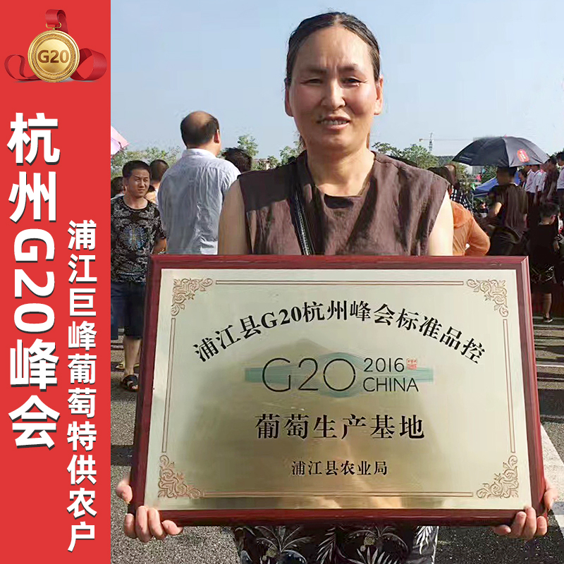 Kyoho Grapes, Pujiang Grapes, Fresh Seasonal Fruits for Pregnant Women, 2.5kg Whole Bunches, Whole Box of Seeded Grapes, Sf Cold Chain