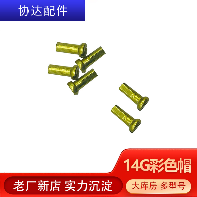 SOURCE Factory 14g carbon steel electrophoresis color bicycle spoke cap steel wire cap