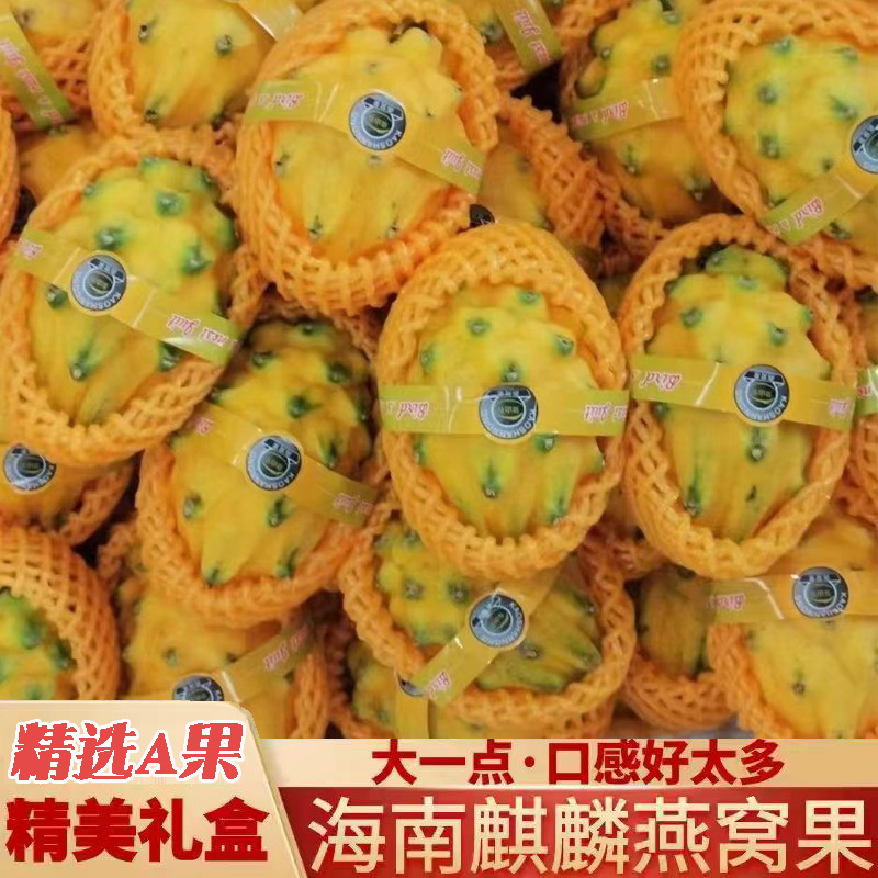 Хайнань кирин фрукт, белоснежный дракон фрукт, подарочная упаковка, оптовая продажа