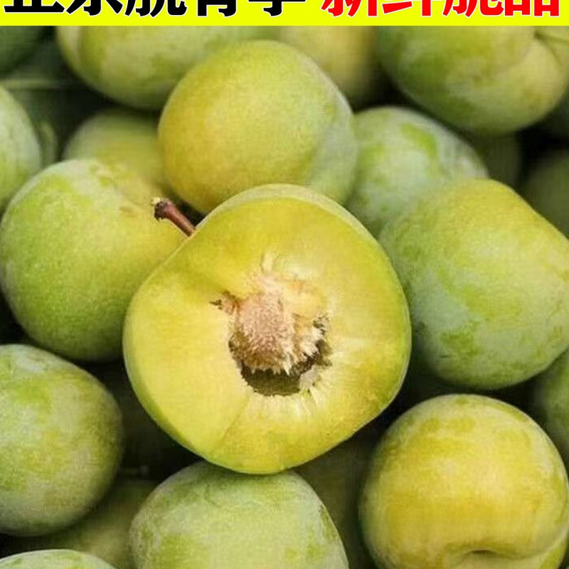 Sichuan Boneless Plums, Green Crispy Plums, Fresh Fruits, Seasonal Crispy Sweet Plums, Freshly Picked Large Fruits, Whole Box