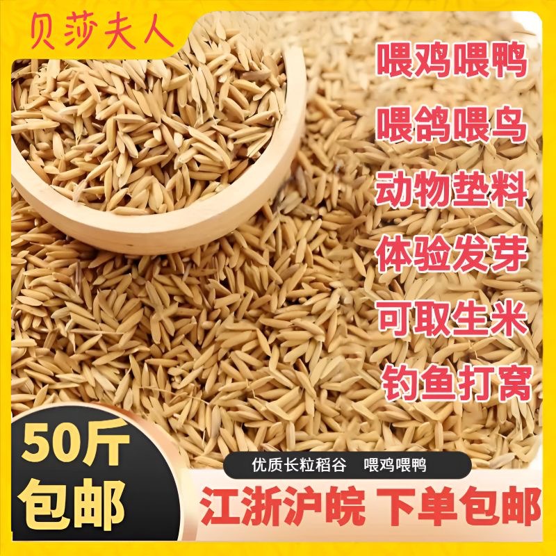 Natural Chicken Feed from Rice Farms 25kg Chicks Ruddies Birds Parrots Feeding Millet Rice Wholesale