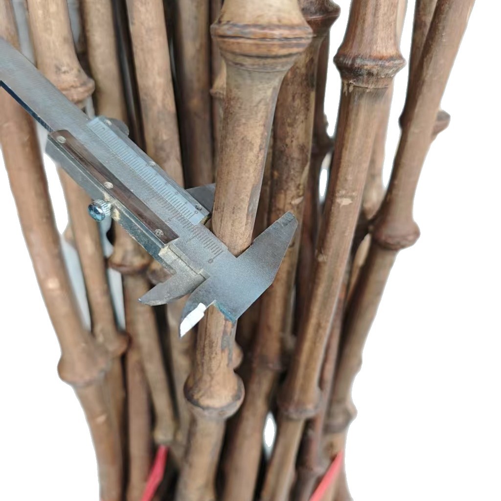 Manufacturer Supplies Bamboo Poles, Bamboo Materials, Whole Bamboo for Furniture, Home Goods Materials, 3-5 Year Old Bamboo