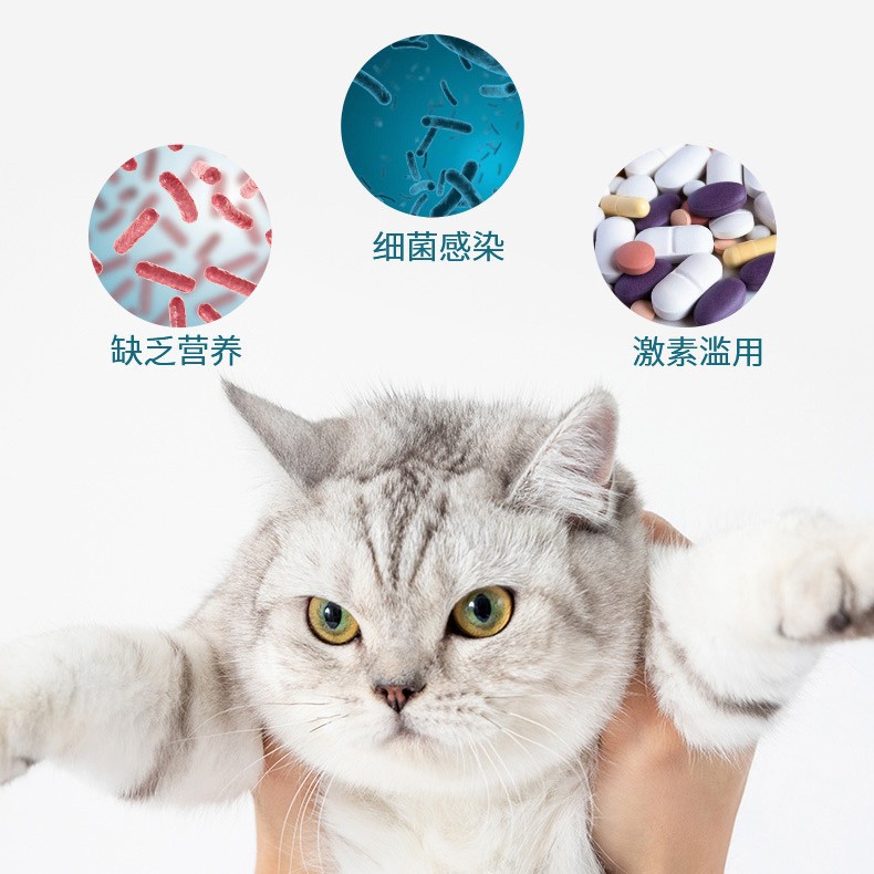 Pet Skin Spray, Pet Skin Care Products for Cats and Dogs, Anti-Itch Spray, Cat Moss and Dog Moss Treatment for Dermatitis and Eczema, Pet Ointment