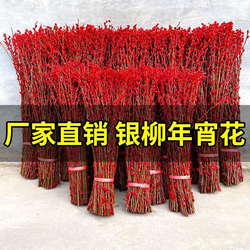 Silver Willow Real Flower Fresh Branch Red Dried Flower Water-Raised Flower Living Room Interior Decoration Lucky Dried Branch New Year's Eve Flower
