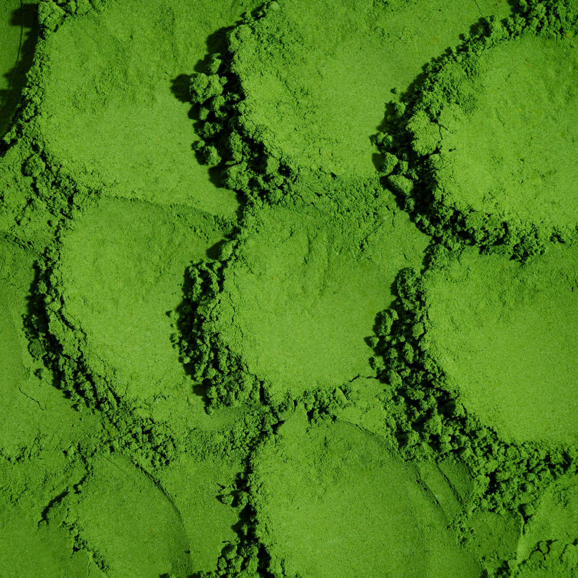 Freshly Ground Matcha Powder, Yu Pin Dai Matcha Powder for Baked Goods and Drinks, 30g, Fine Powder, Fresh Tea Aroma, Low Astringency