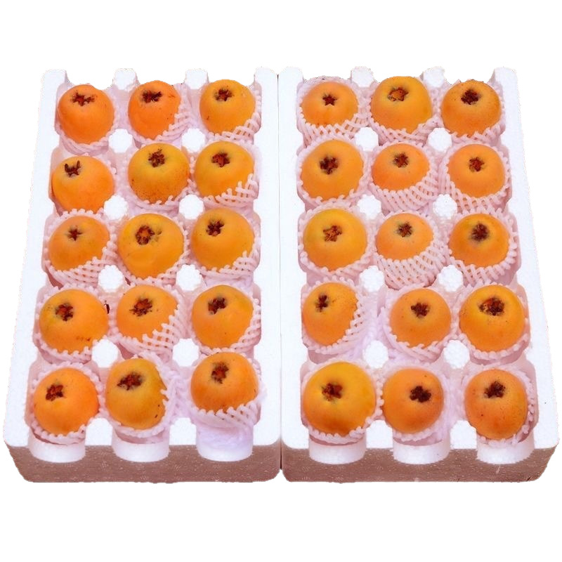 Yunnan Dafu Xing Loquat 2.5kg Large Fruits, Freshly Picked Seasonal High Mountain Loquat Fruit with Free Shipping from Yunnan High Mountains