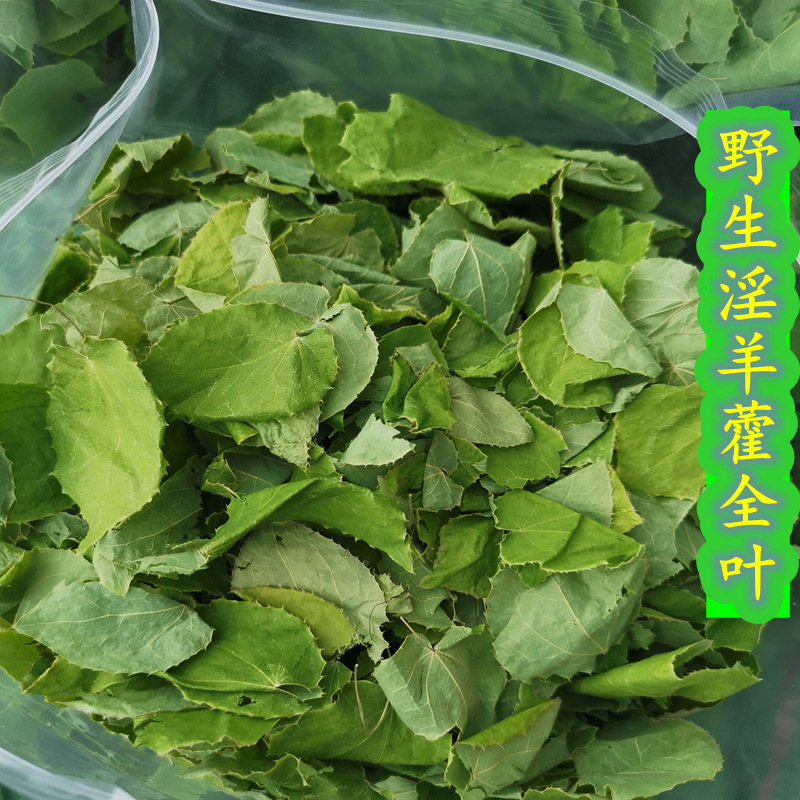 Epimedium Gansu Longnan wild small round leaf whole plant whole leaf epimedium specifications complete foreign fire leaf a generation of hair