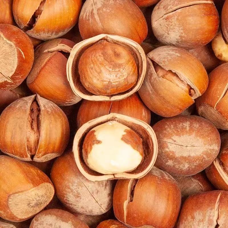 Wholesale and Retail of Wild Hazelnuts from Northeast China, a Specialty Product with Large Kernels, Thin Skin, and Original Flavor, Suitable for Commercial Use