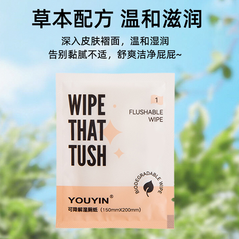 Portable Single Piece Wet Toilet Paper Separate Packaging Unisex Degradable Wet Toilet Paper Butt Wipe Bacteriostatic Wet Toilet Paper