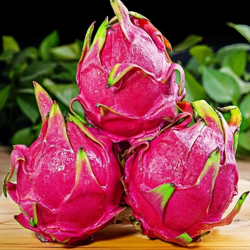 Guangxi Red Heart Pitaya Straight Hair Fruit Whole Piece Free Shipping Red Heart Pitaya Dropshipping