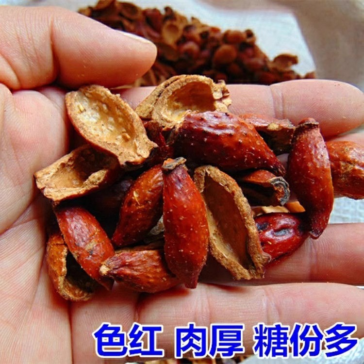 Wild Chinese Medicinal Herbs: Golden Cherry Seeds, Eucommia, and Dendrobium Fruit for Decoction