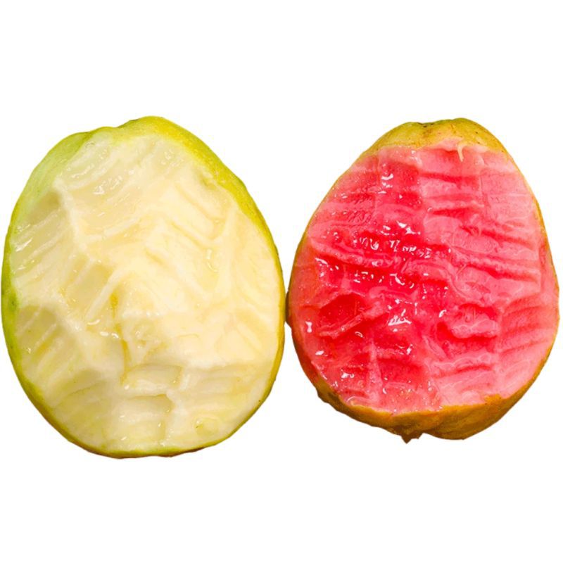Ready-Made Quick-Release Tree-Ripened Golden Cream Guava Fruit Whole Box Red Heart Guava Large Fruit Base Direct Supply