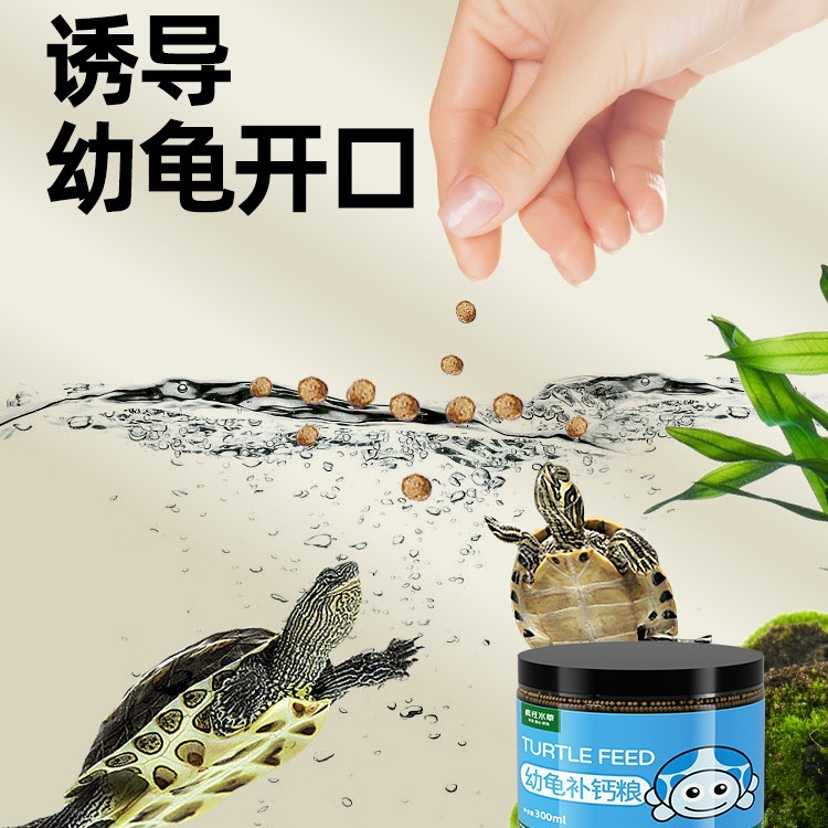 Crazy water grass baby turtle food turtle seedlings open food small turtle Brazilian turtle grass turtle feed general factory wholesale
