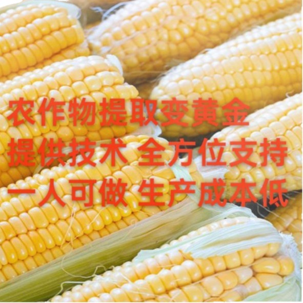 Grain-To-Gold Plant Protein Peptides Are Deeply Processed with Full Attention, Providing Support for Entrepreneurship, Technical Support, and Repurchase Support