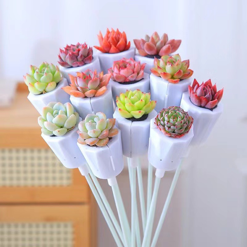 Fleshy bouquet box holding flower combination gift creative soilless self-absorbent lazy person indoor good meat container