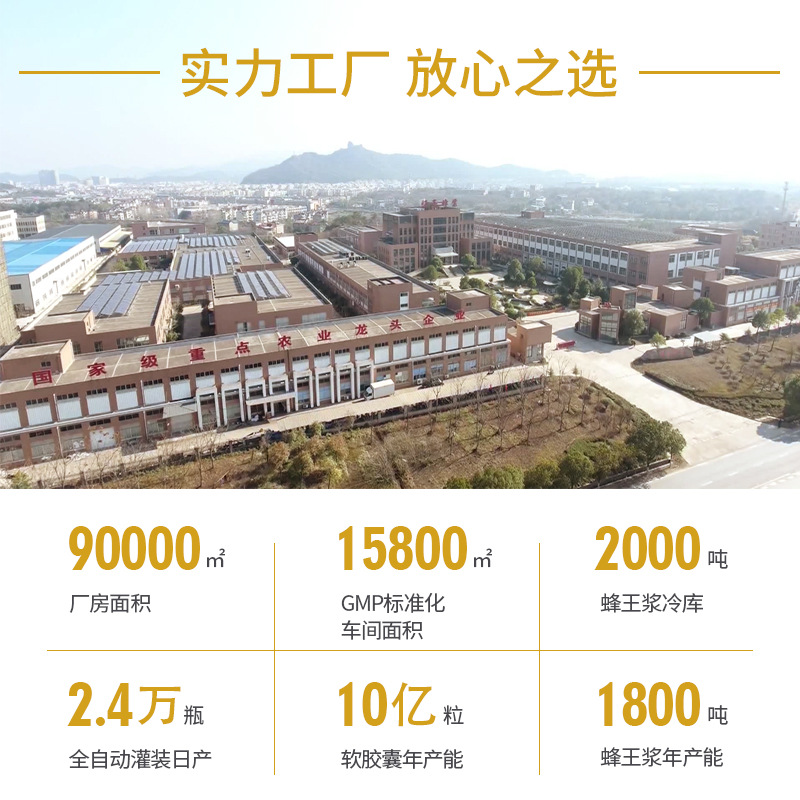 Honey Wholesale Source Manufacturer Spoon Honey Spoon-Shaped Honey Small Package Honey Portable Honey Packed with Hundred Flower Honey