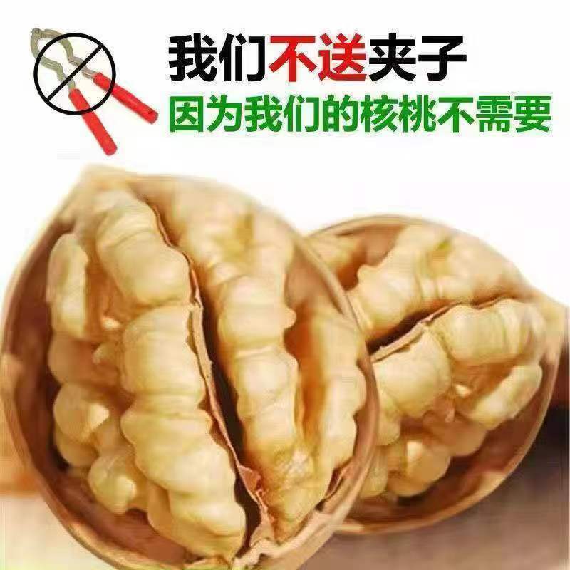 New Arrivals in Season Xinjiang Specialty Aksu Walnuts Bulk Thin-Skinned Large Walnuts Thin-Skinned New Walnuts Dropshipping