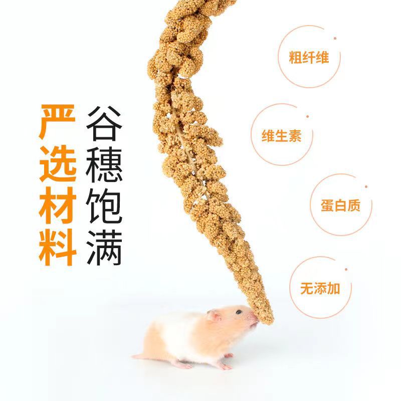 Parrot Snack Stick Grain Ear Wheat Ear Millet Bird Food Feed Training Reward Snacks Tiger Skin Xuan Feng Peony Special