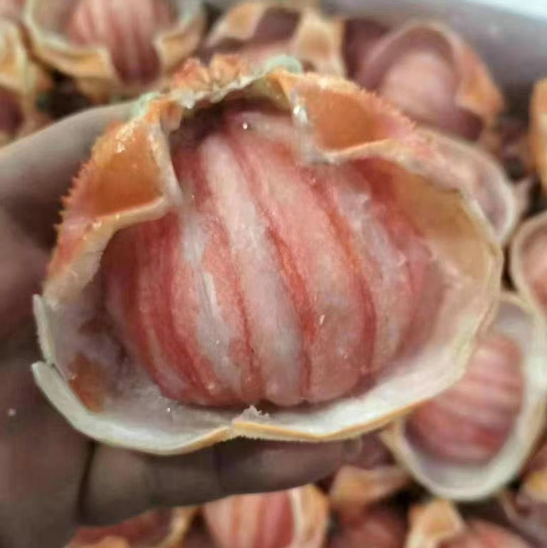 Замороженный корейский краб из Цзянсу, очищенное мясо краба, коммерческий большой раковина краба, 70Г/штука, ингредиенты для буфета оптом