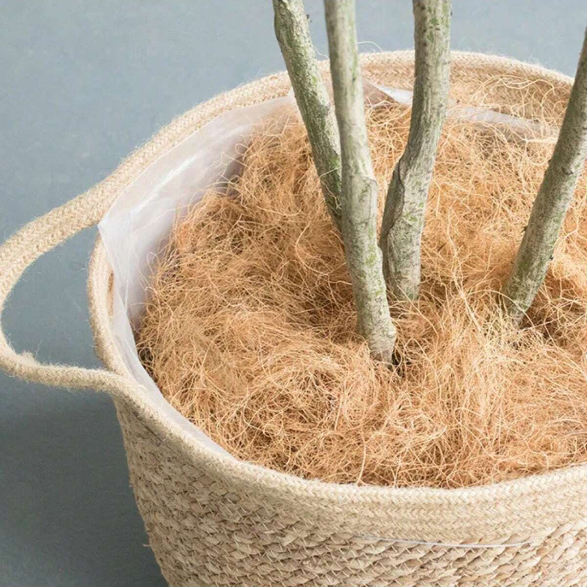 Natural Coconut Palm Fiber in Stock, Coconut Shell Fiber, Environmentally Friendly Ecological Plant Fiber, Hemp Coconut Fiber, Palm Fiber, Coconut Fiber