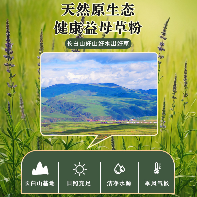 Motherwort Powder 250g Foot Soak Ultra-Fine Powder Mask Powder to Regulate Heavy Menstrual Flow