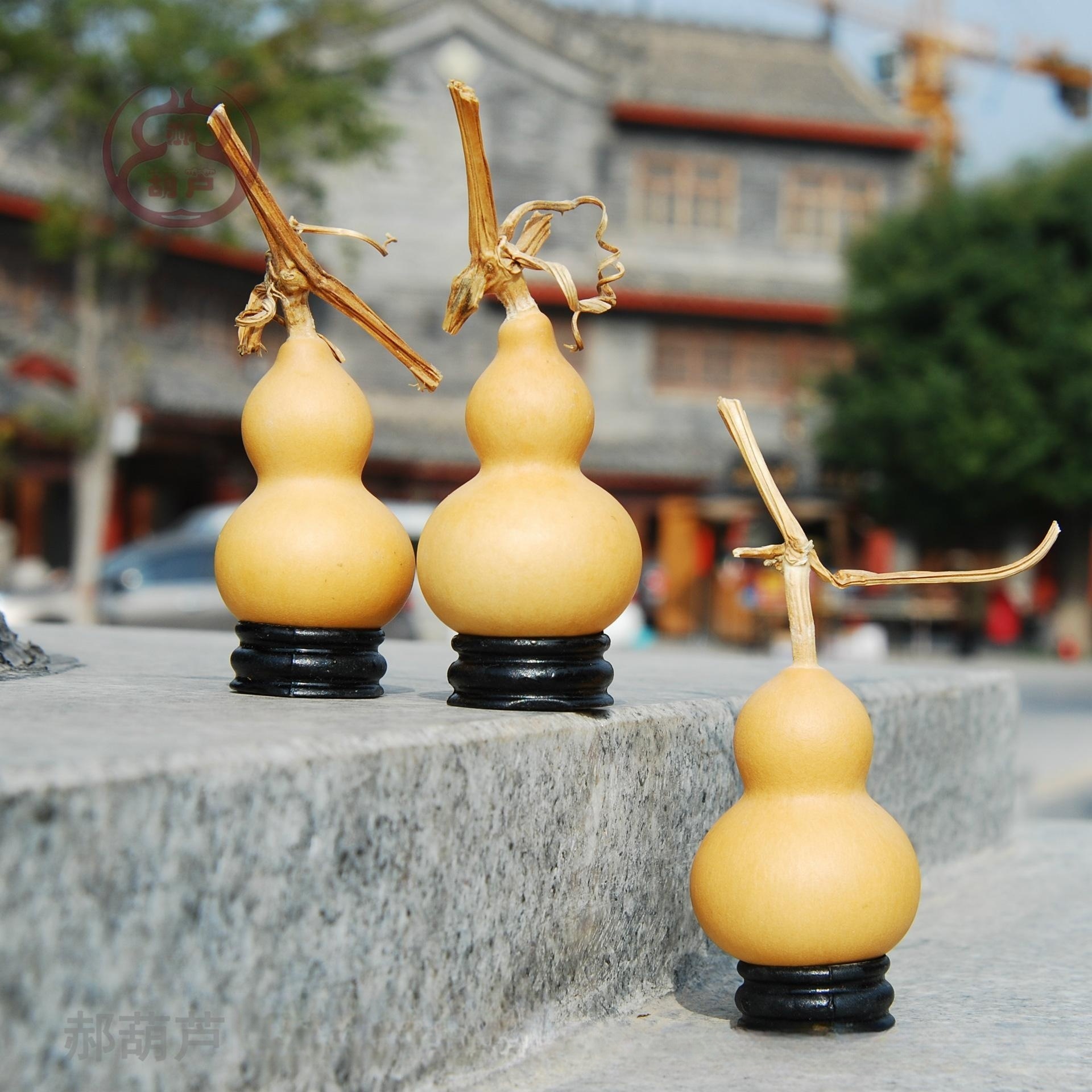 Manufacturer Wholesale Small Gourd Hand-Twisted Toys, Premium American Gourd for Cultivation, Natural Gourd for Various Specifications