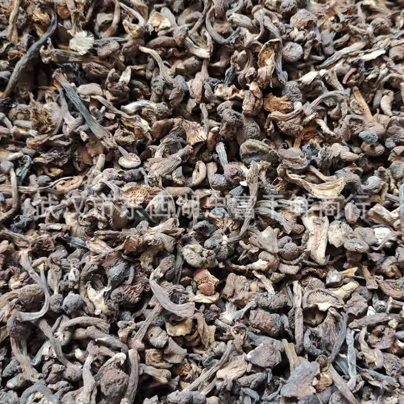 Northeast wild fungus hazel mushroom 500g chicken stewed mushroom dried goods wholesale hazel mushroom soup fungus bag