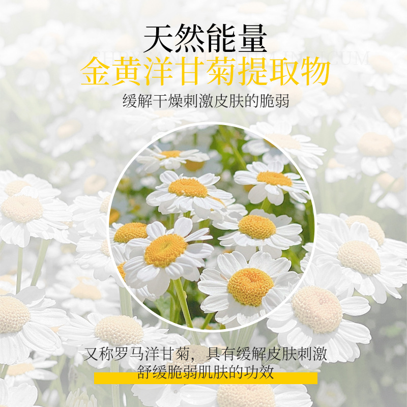 Chamomile Ice Crystal Mask Soothes and Calms the Skin, Gently Hydrates and Moisturizes, Sleep Base Mask, Beauty Salon Line Special Skin Care Products