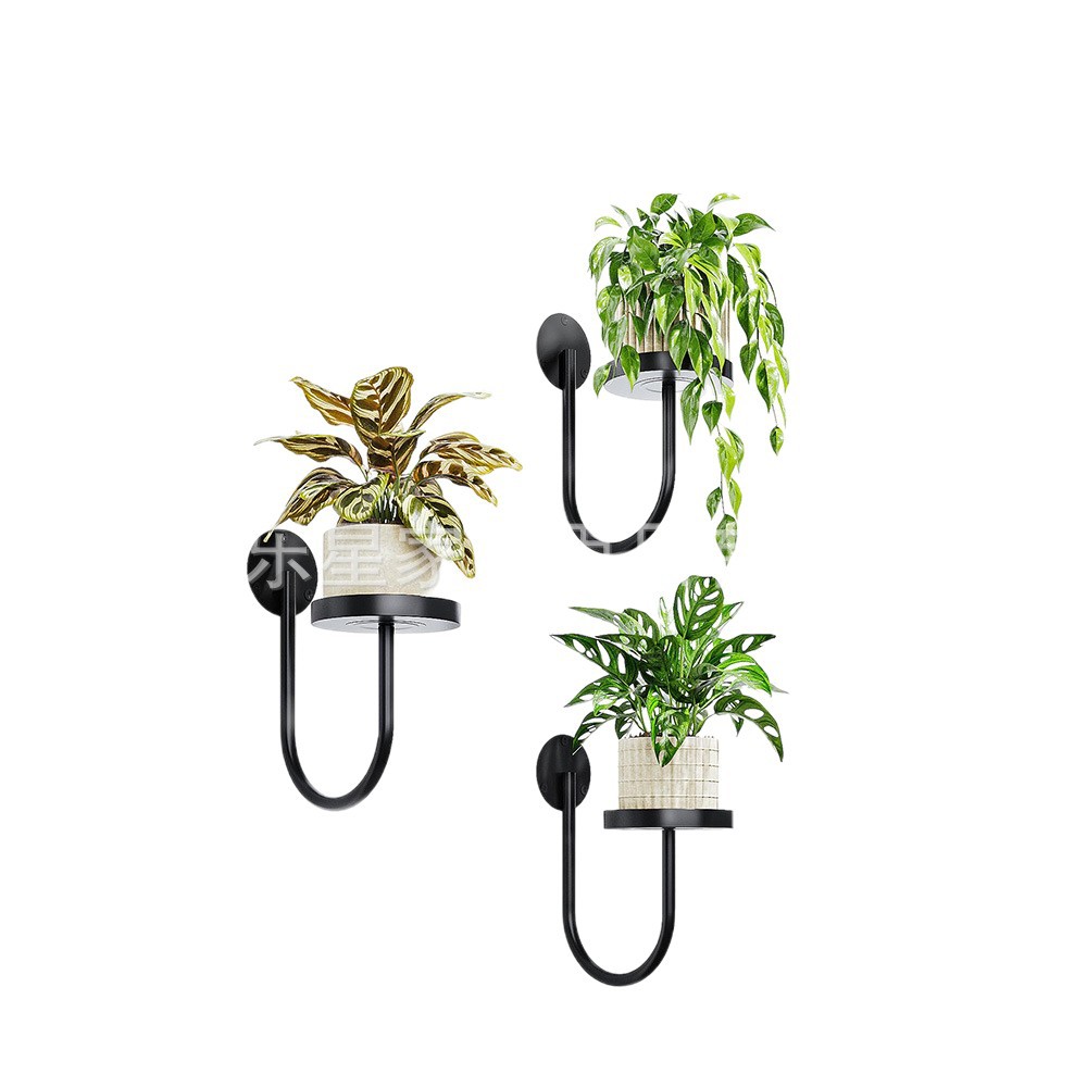 Amazon Indoor Plant Rack Wall Hanging Wall Window Flower Rack Hanging Green Rose Rack Plant Decorative Candlestick 3 Pieces Pack