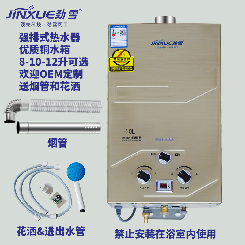 Guangdong Gas Water Heater Manufacturer Forced Exhaust Water Heater Wholesale Liquefied Gas Natural Gas Water Heater for Home Use