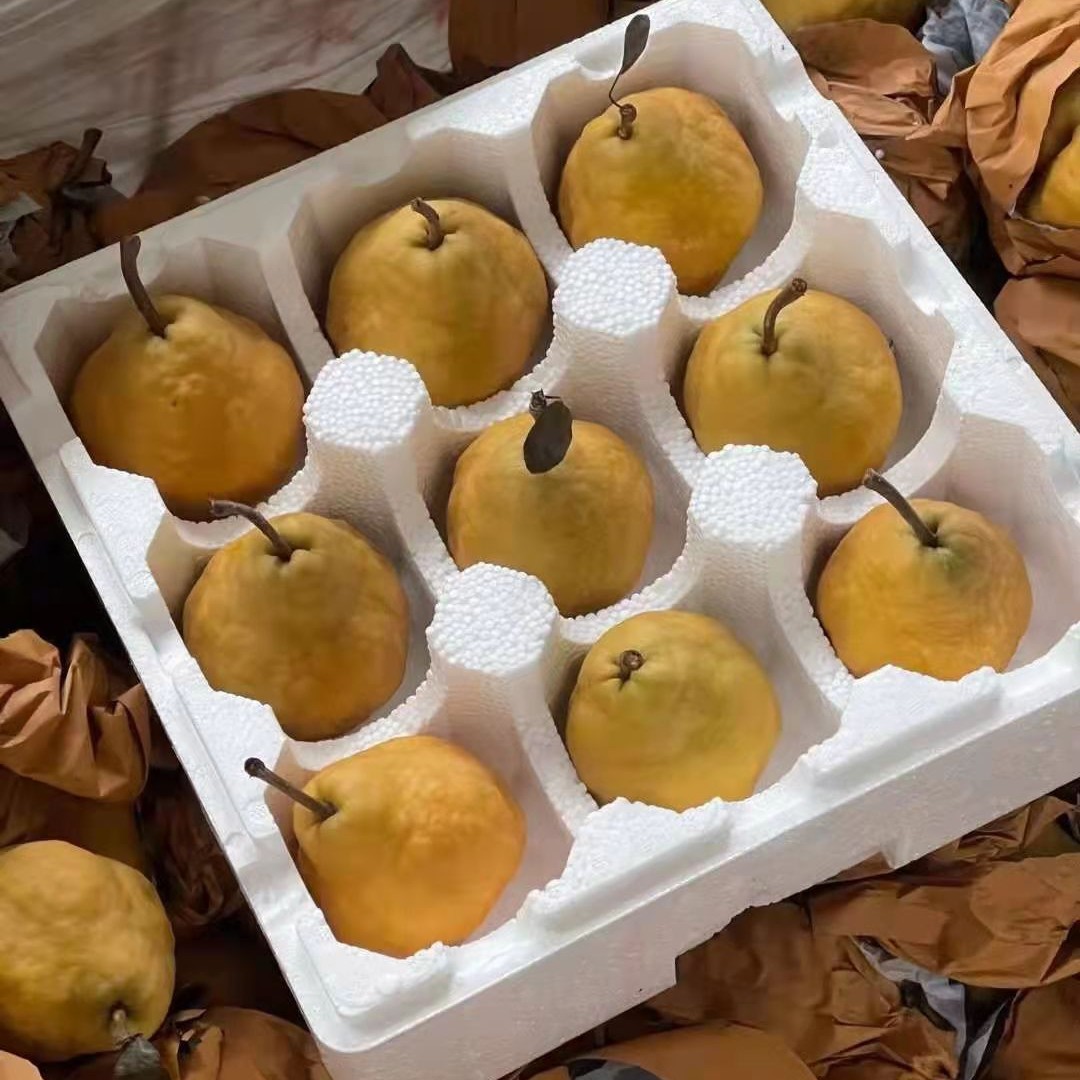Ugly Pear, Soft and Sweet, Yantai Tai Po Ugly Pear, Honey Pear, Fresh Fruit to Eat, 2.5kg Free Shipping, One-Piece Dropshipping, Super Sweet